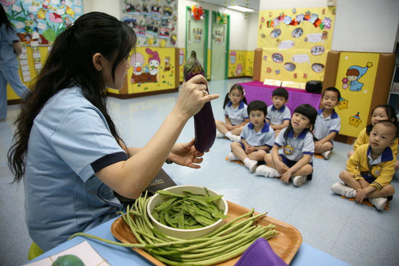 老师正在向学童们介绍蔬菜