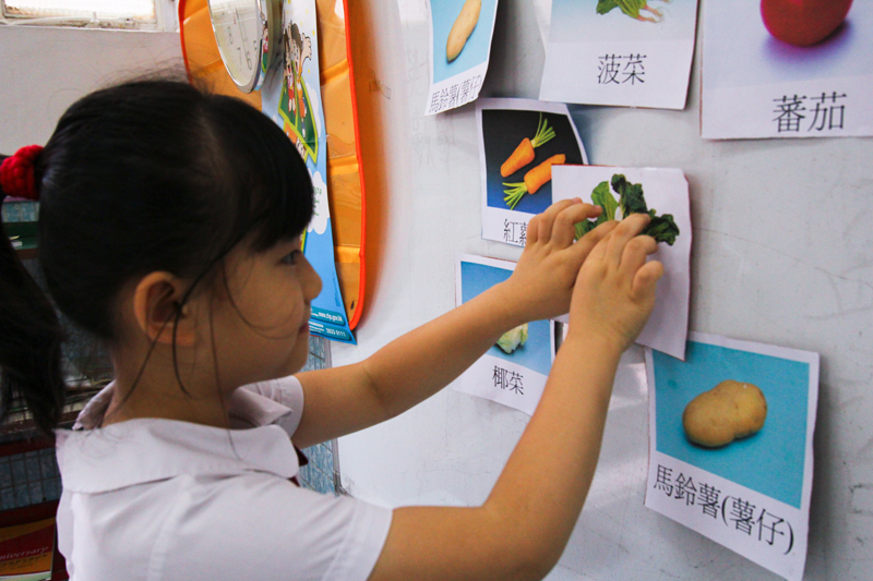 学童配对蔬菜的外貌及其名称