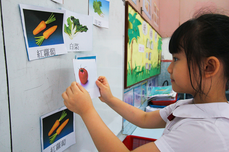 學童配對蔬菜的外貌及其名稱